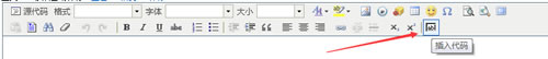 “插入代碼”的圖標(biāo)