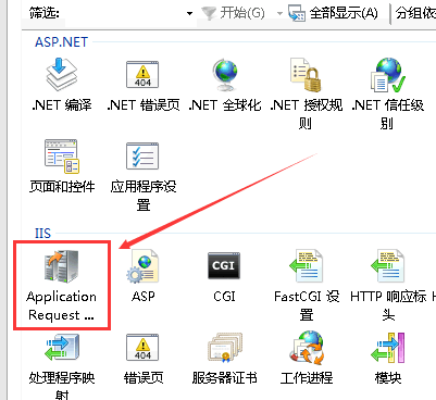 Application Request Routing（應(yīng)用程序請(qǐng)求路由）的圖標(biāo)