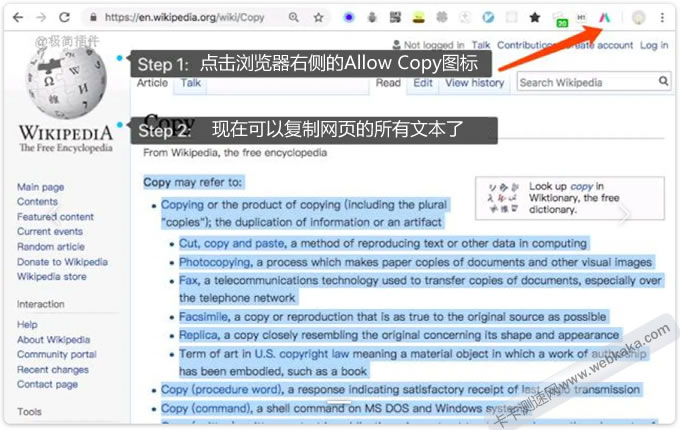 Chrome瀏覽器使用Allow Copy